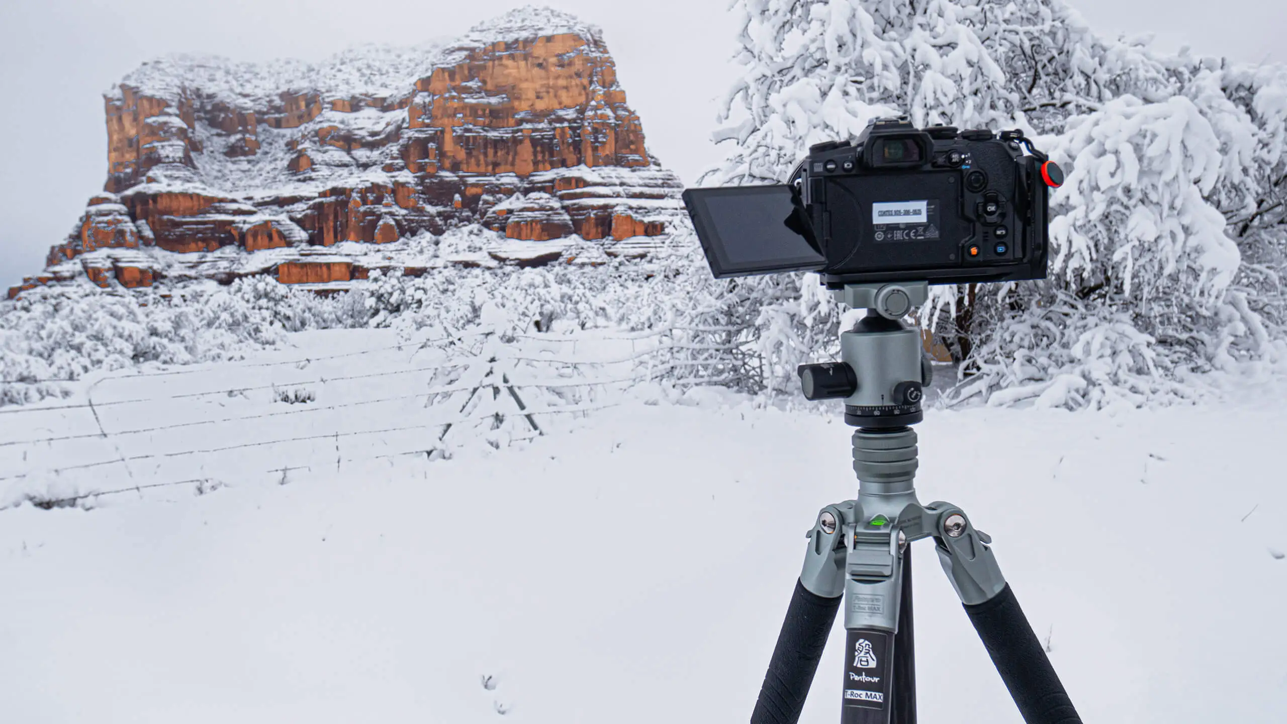 11 Amazing Fotopro Tripod for 2024