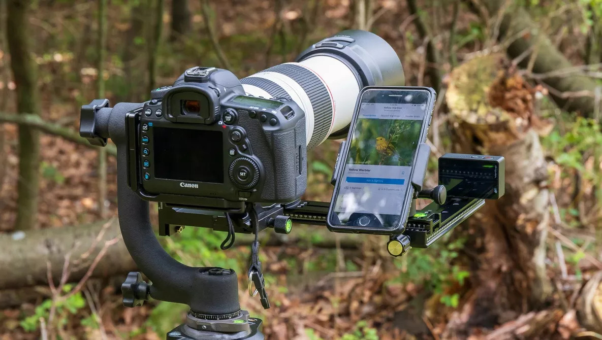 11 Amazing Gimbal Tripod for 2024