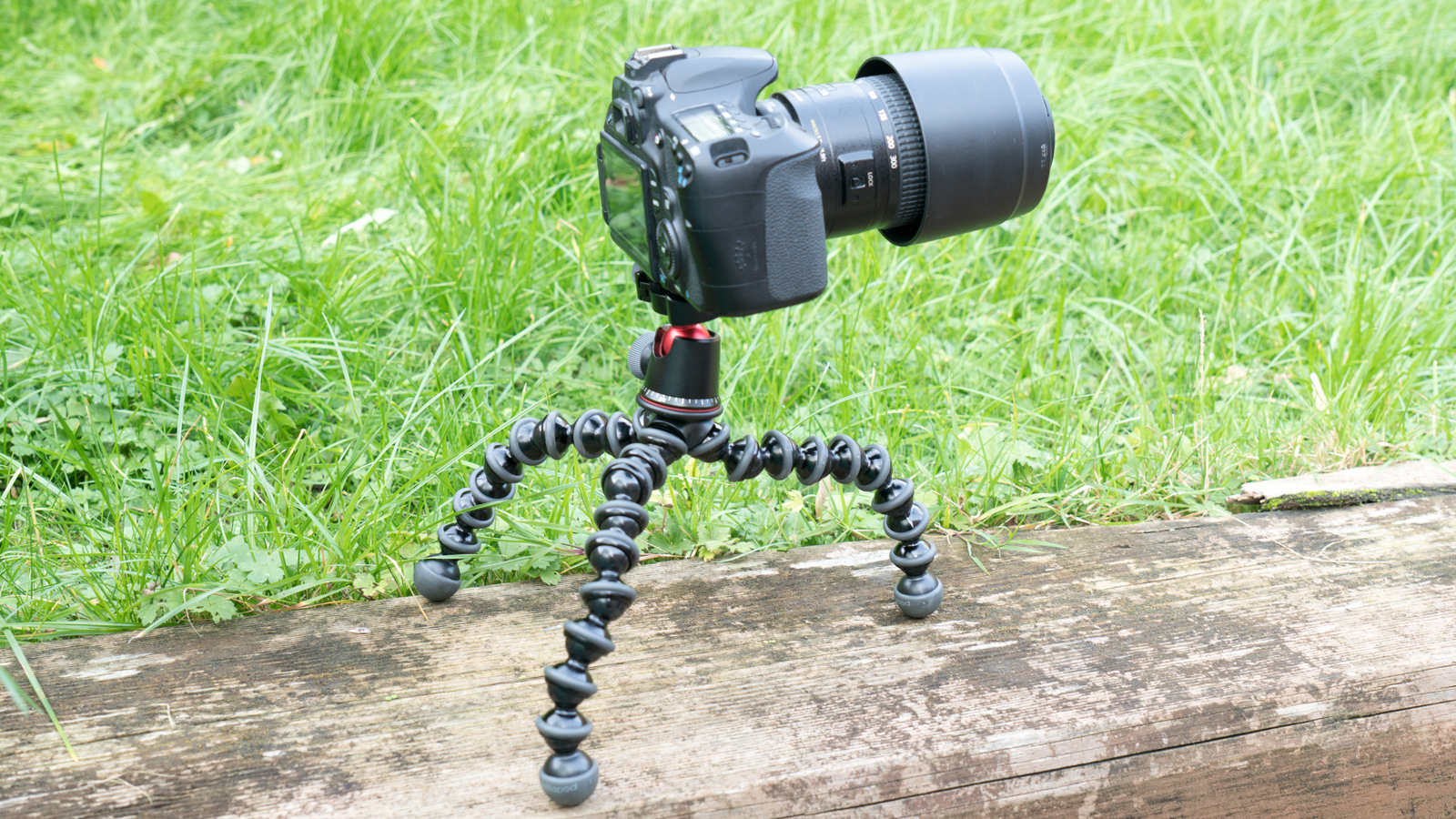 15 Amazing Flexible Camera Tripod for 2023 CellularNews