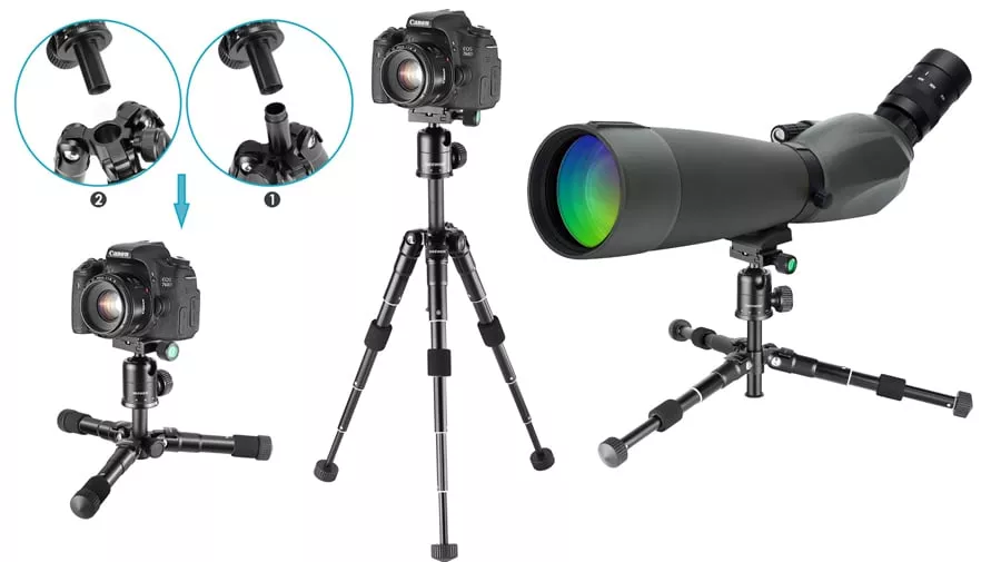 12 Amazing Small Tripod for 2024