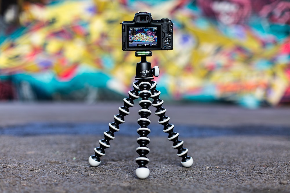 12 Best Photo Tripod for 2024