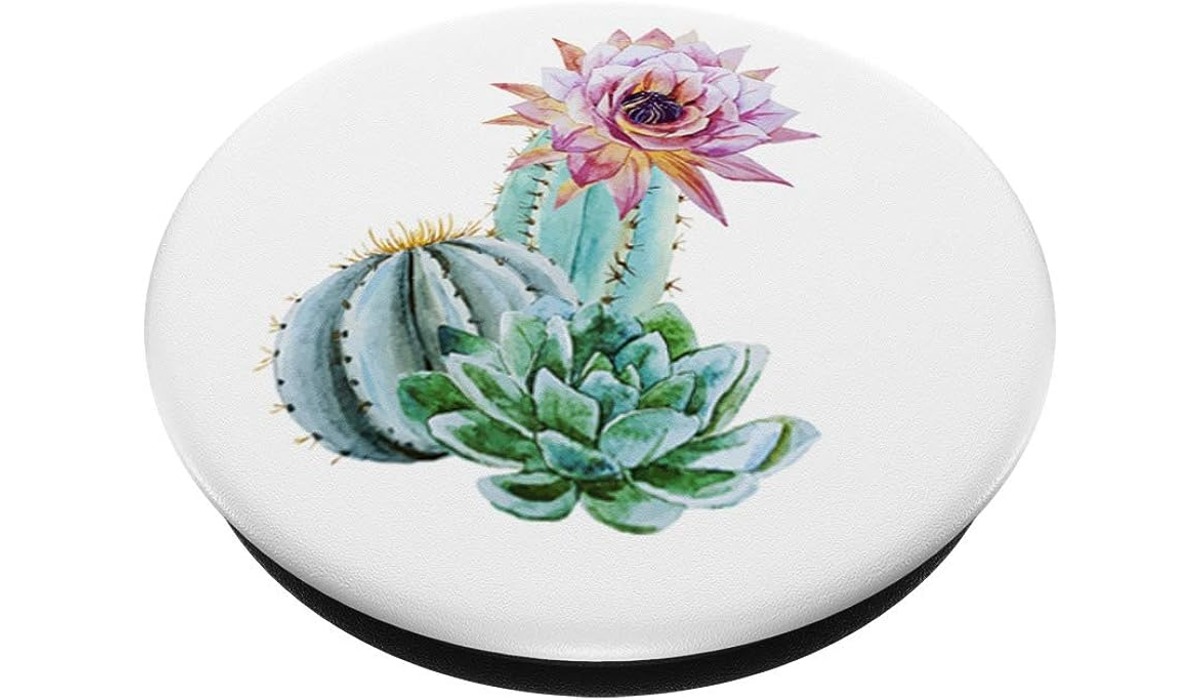 12 Best Popsocket Cactus for 2024