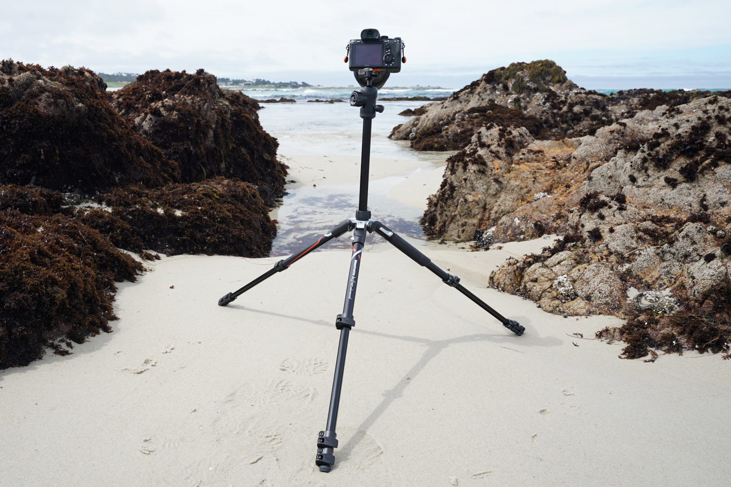 15 Amazing Manfrotto Befree Tripod for 2024