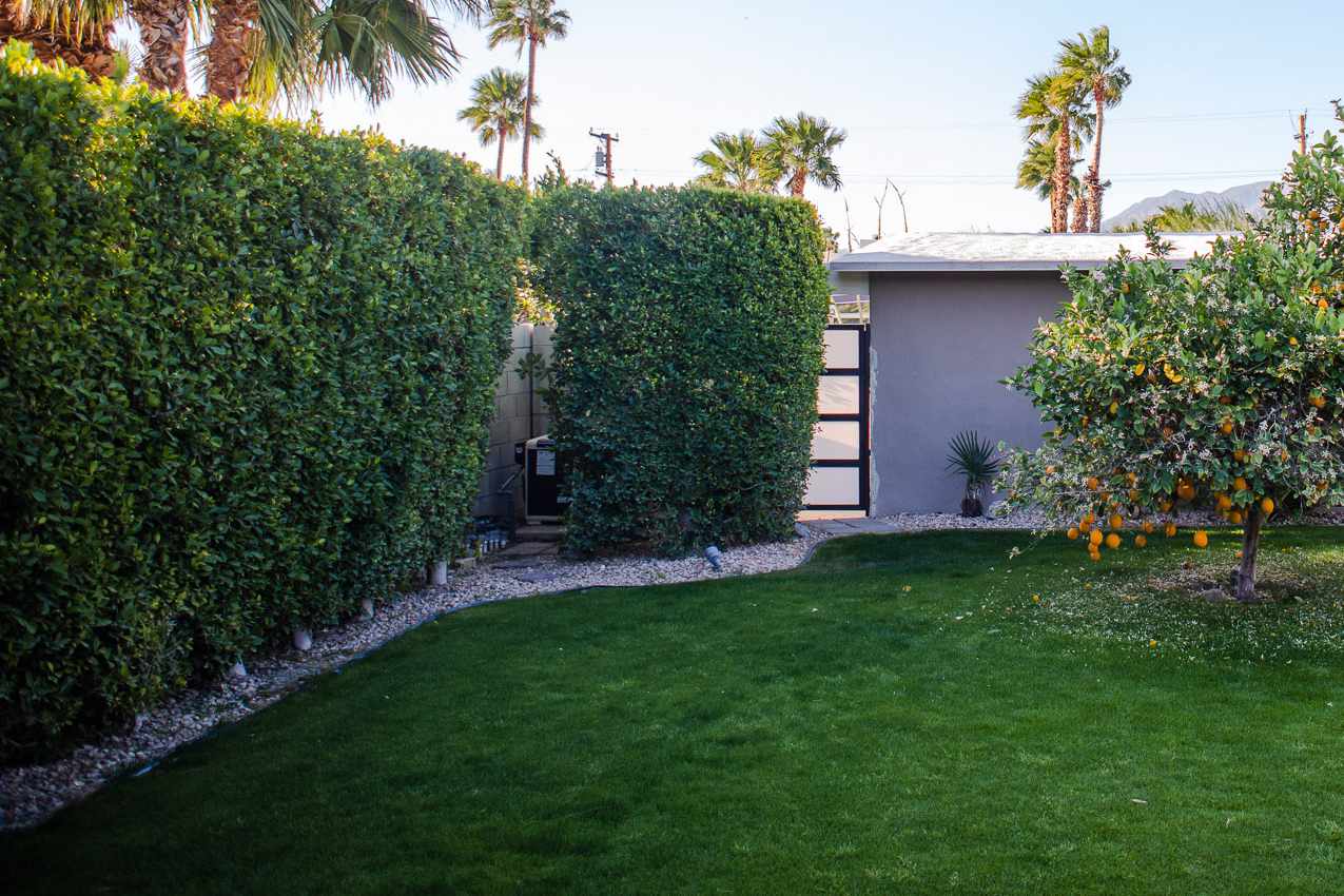15 Amazing Privacy Screen Fence for 2024