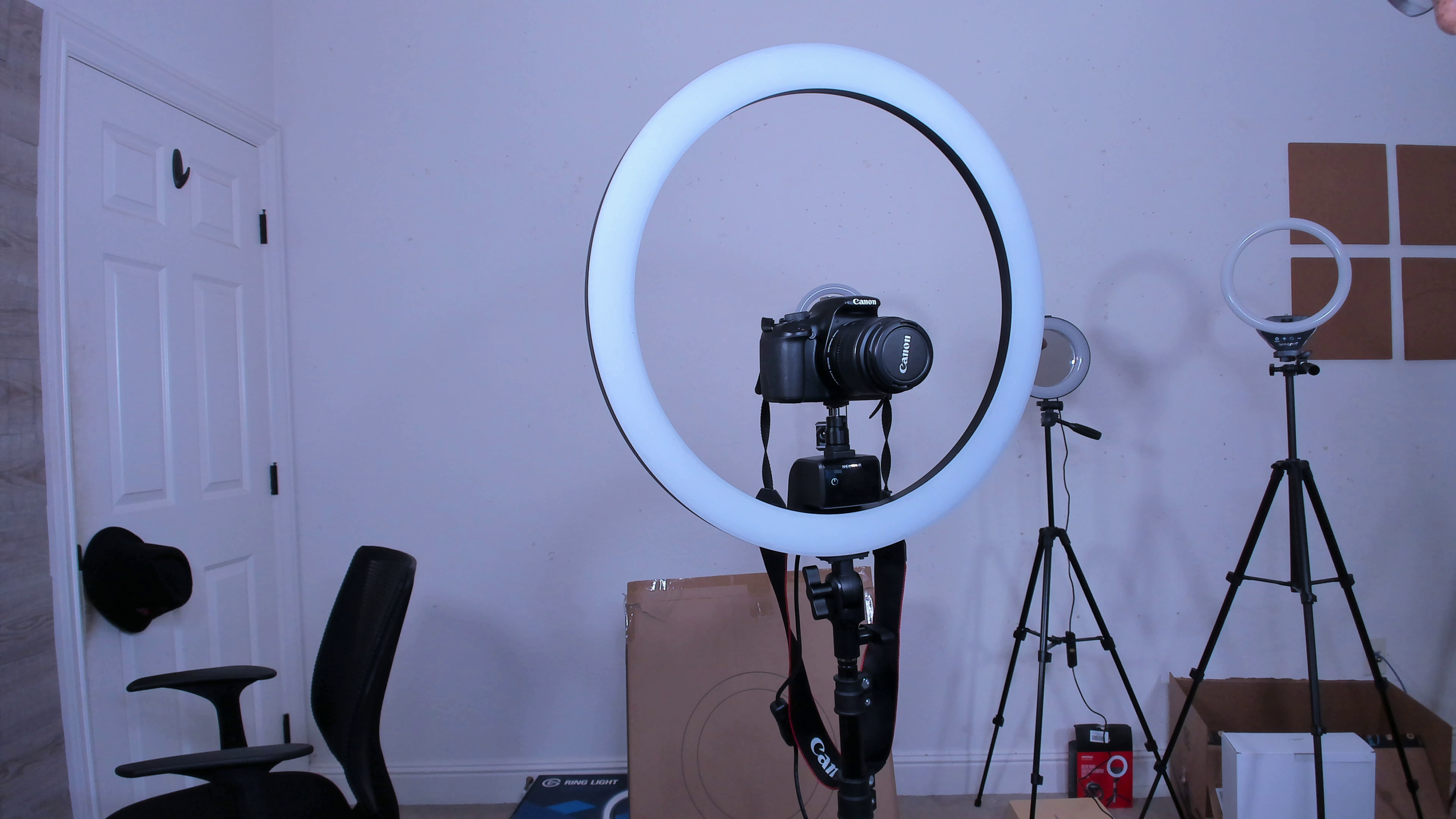 15 Best Ring Light Canon for 2024