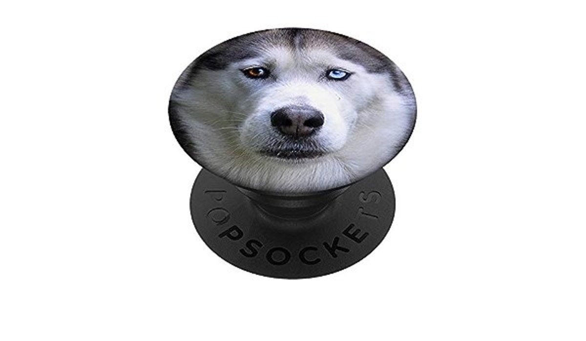 17 Best Dog Popsocket for 2024