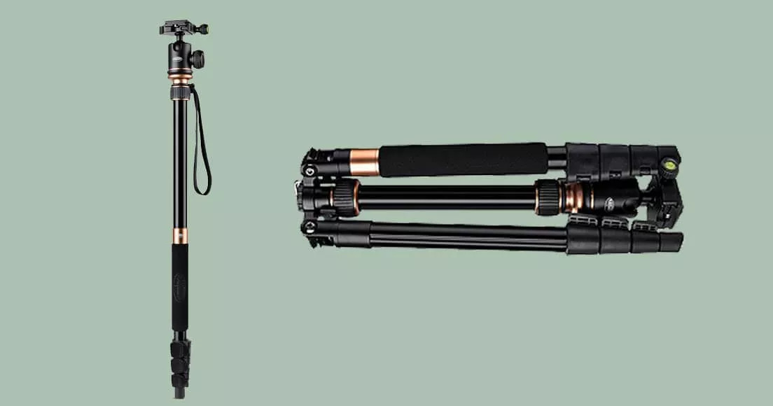 8 Amazing Tripod Dslr for 2024