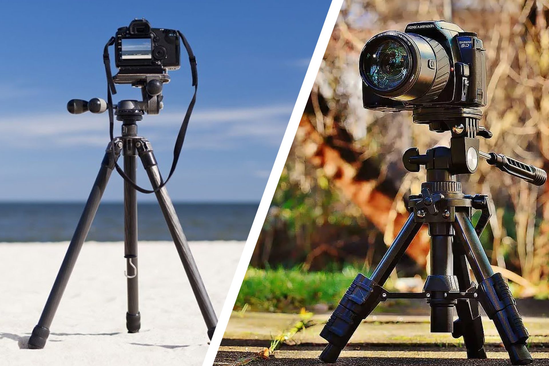 8 Best Dslr Tripod for 2024