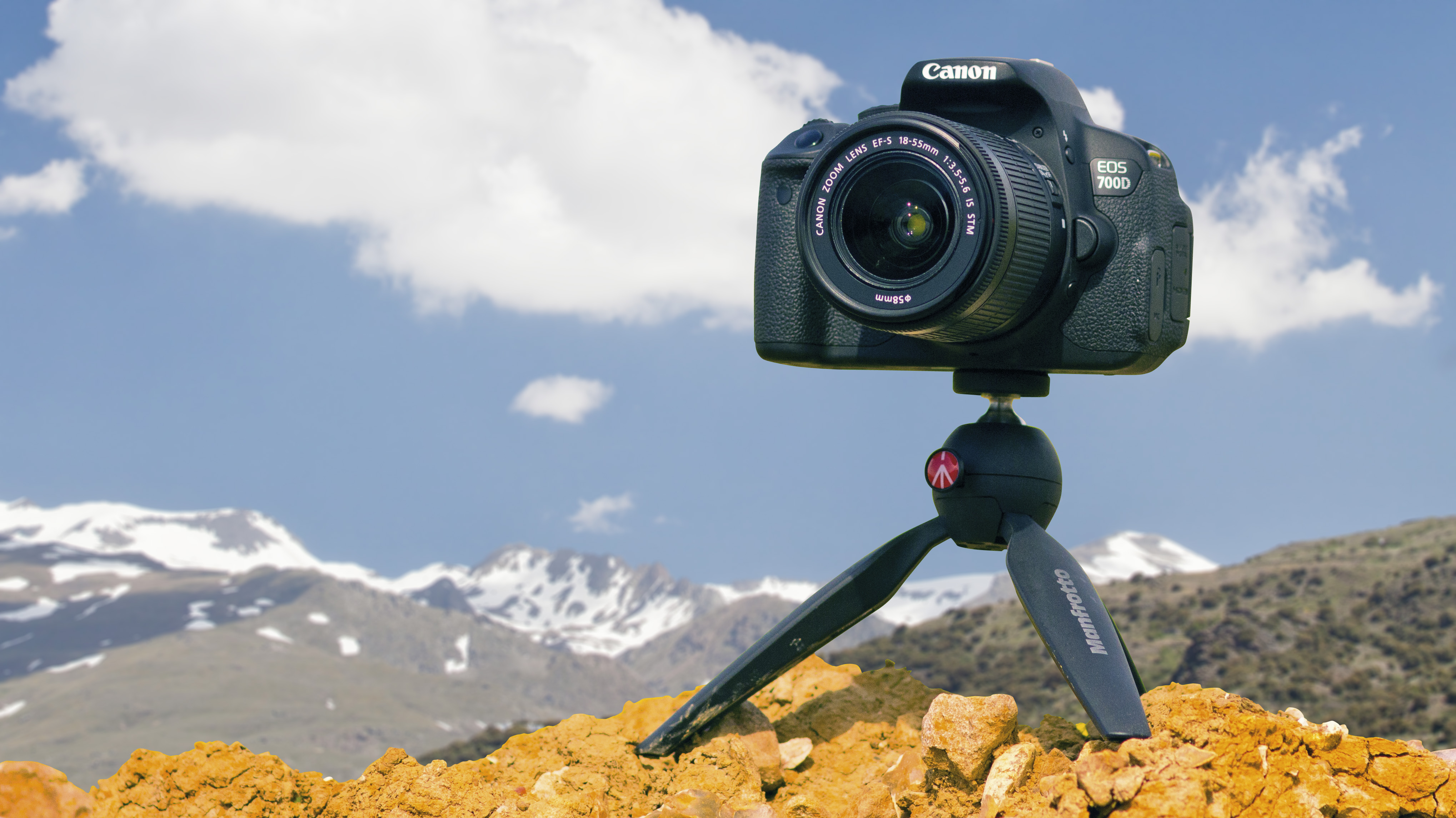 9 Best Camera Tripod for 2024