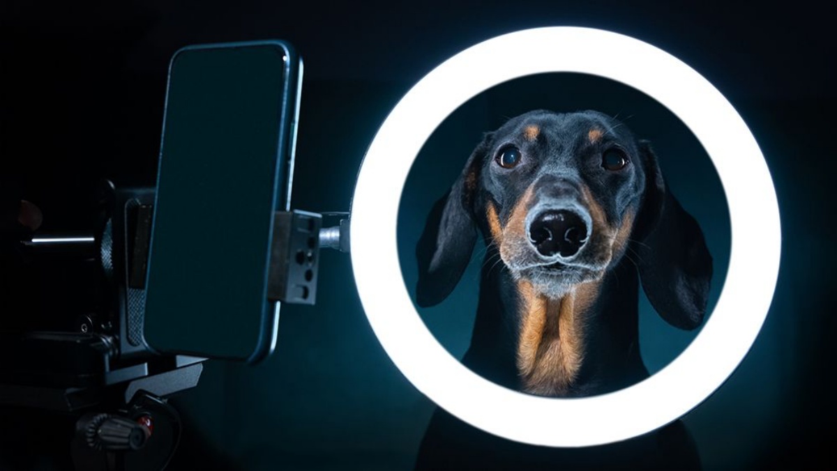9 Best Phone Ring Light for 2024
