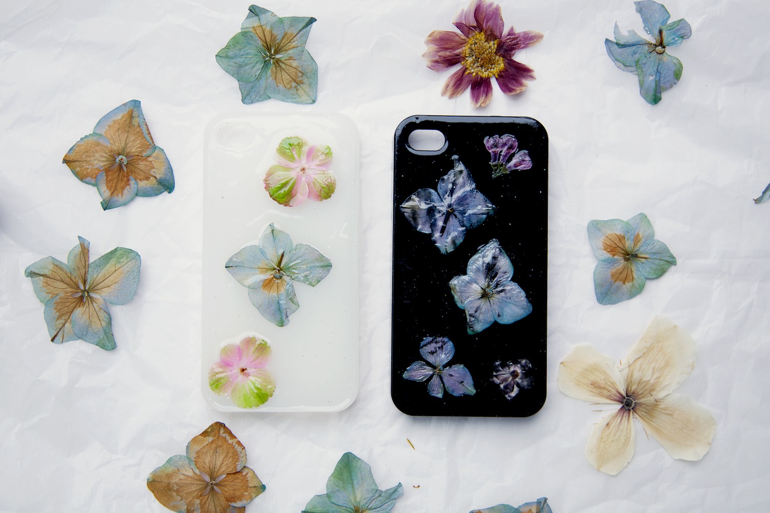how-to-make-a-pressed-flower-phone-case
