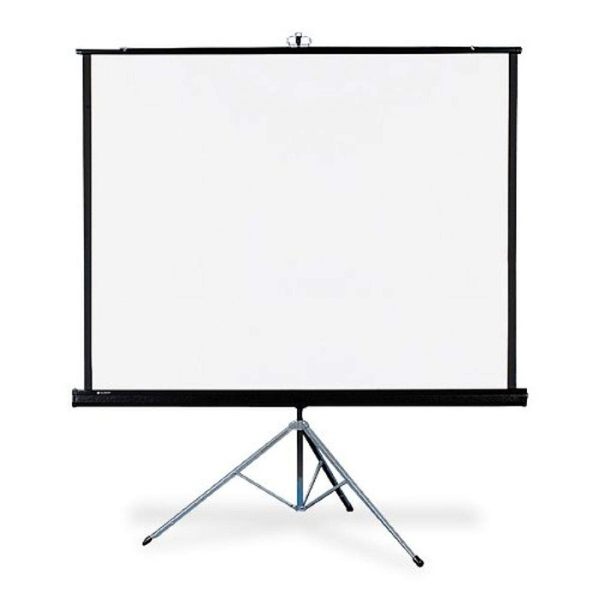 10 Amazing Tripod Projection Screen for 2023