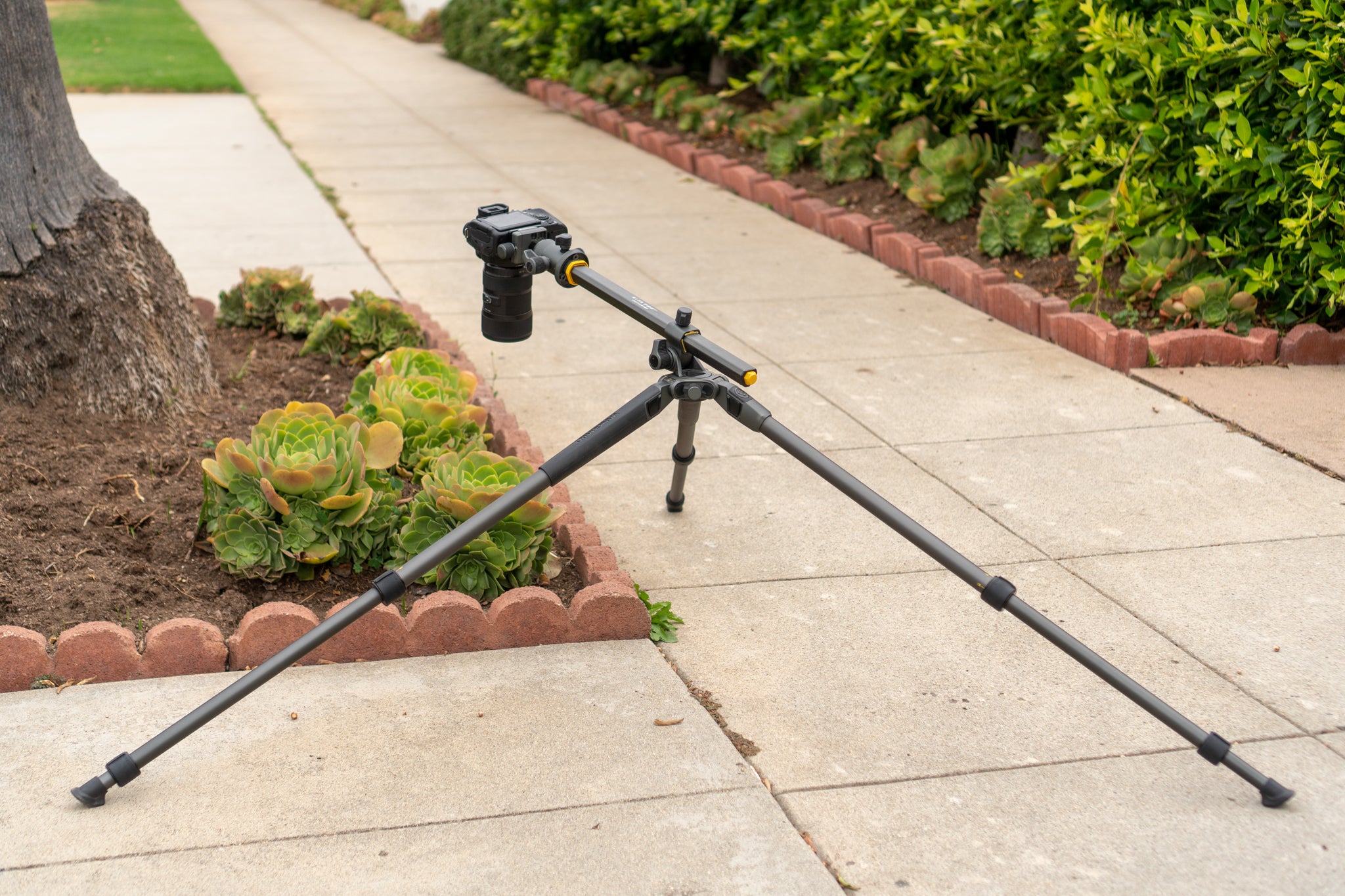 10 Best Professional Camera Tripod for 2024