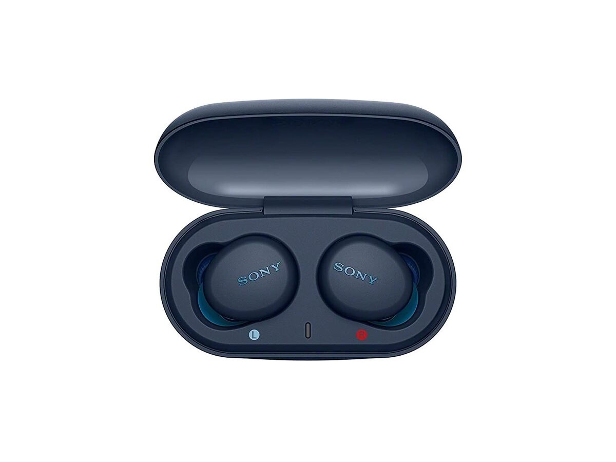 10 Best Sony Extra Bass Wireless Earbuds for 2024