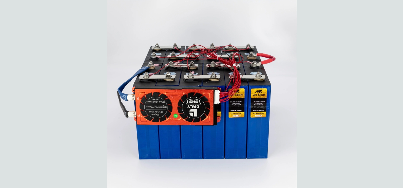 10 Incredible Lithium Iron Phosphate Battery For 2024
