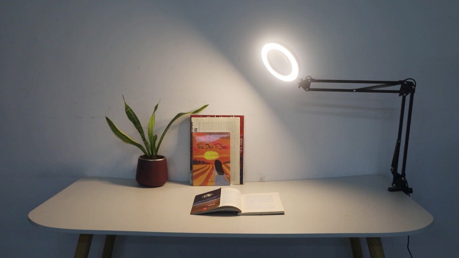 11 Amazing Led Desk Lamp Magnifier for 2024