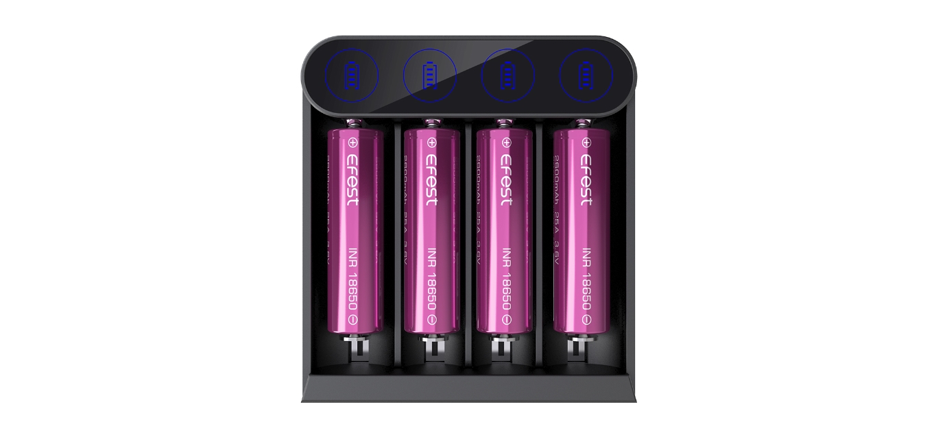 11 Best Efest Battery Charger For 2024