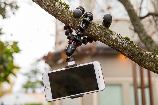 11 Best Tripod Mount For Cell Phone for 2024