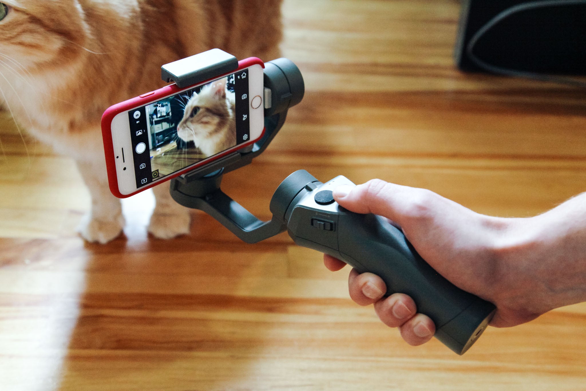 12 Best Gimbal Holder for 2024