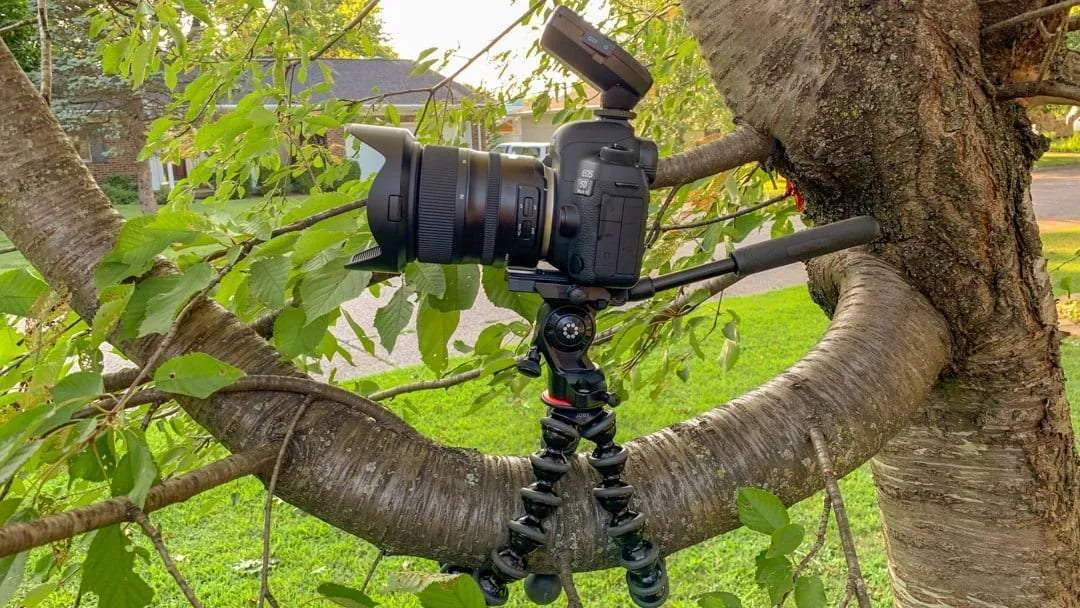 12 Best Joby Tripods For 2024