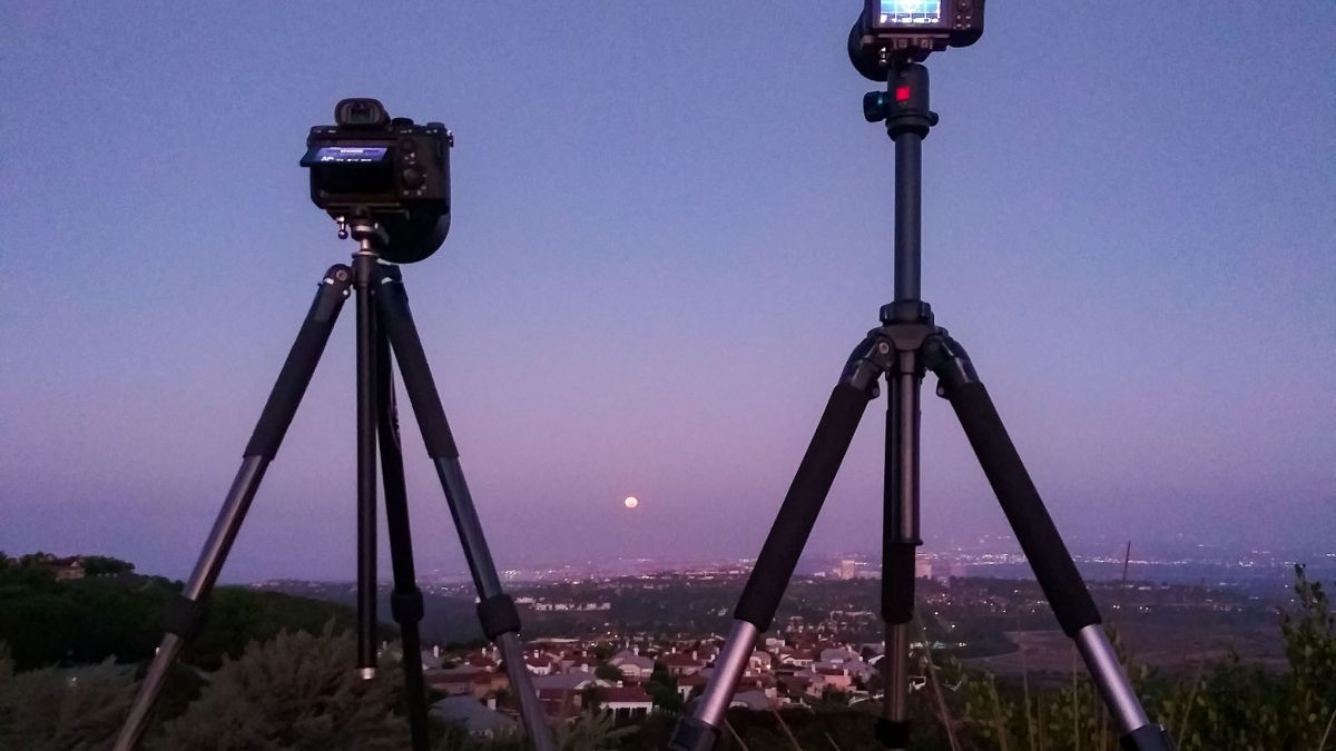 13 Amazing Camera And Tripod for 2024