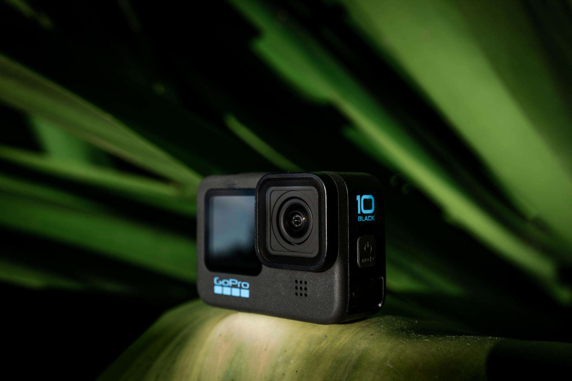 11 Best 3 Axis Gimbal Gopro for 2023 | CellularNews