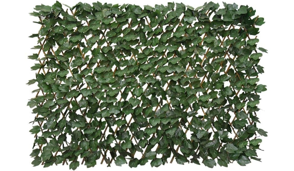 13 Amazing Ivy Fence Privacy Screen for 2024