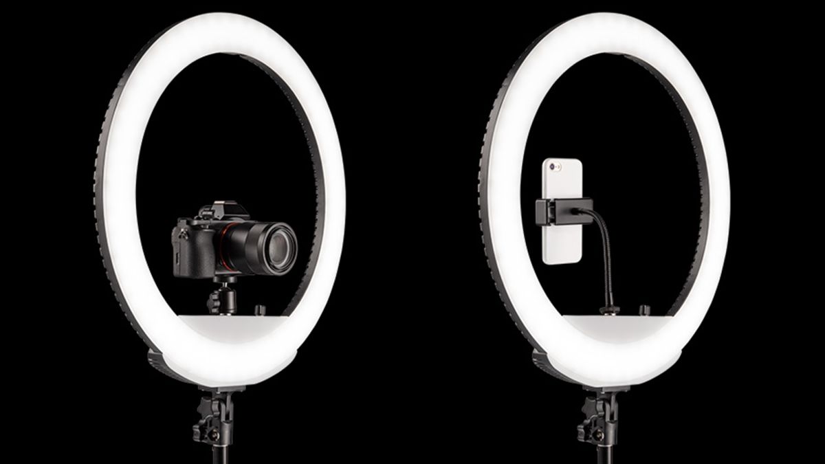 13 Amazing Zomei Ring Light for 2024