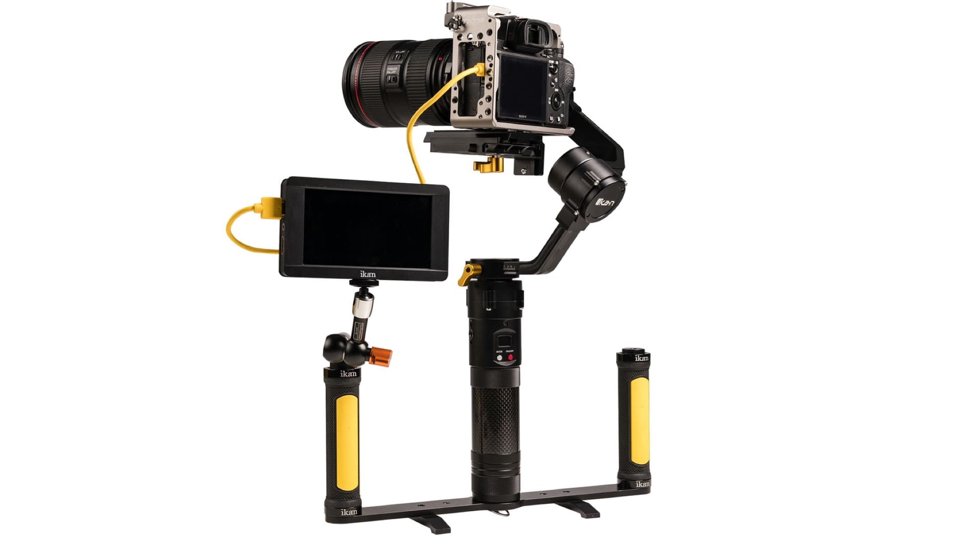 13 Best Ikan Gimbal for 2024
