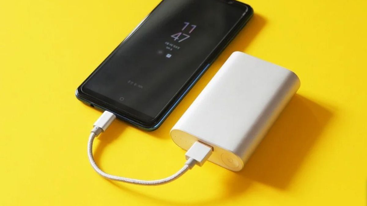 14 Amazing Durable Phone Charger For 2024