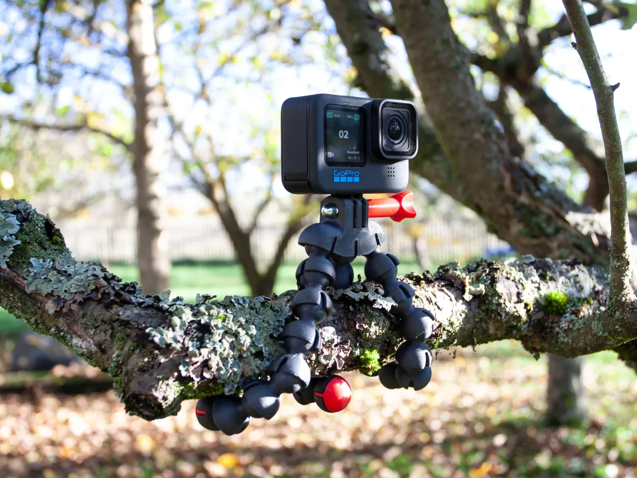 14 Amazing Gooseneck Tripod for 2024
