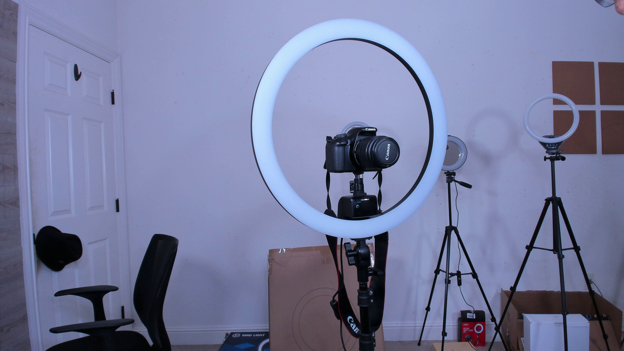 14 Amazing Ring Light For Canon for 2024