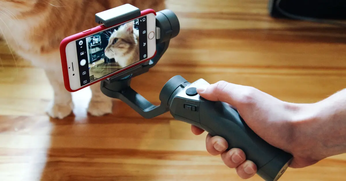 14 Best Gimbal For Smartphone for 2024