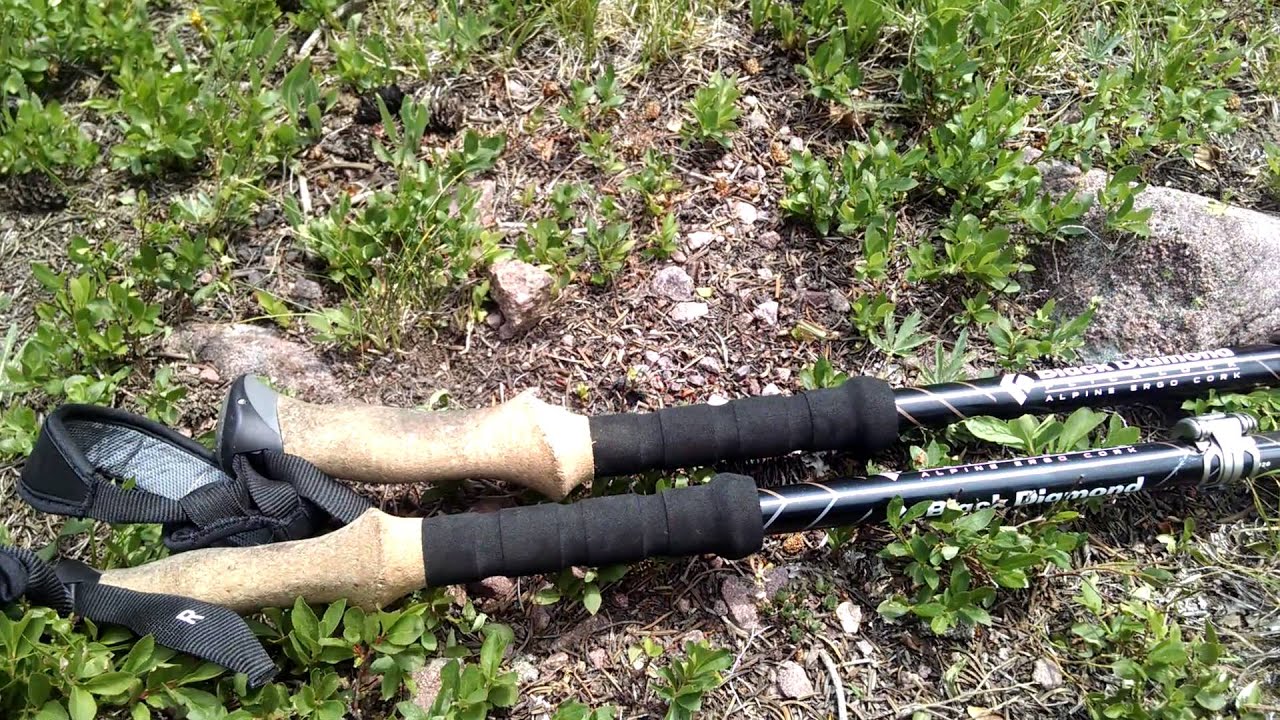 14 Best Monopod Trekking Pole for 2024