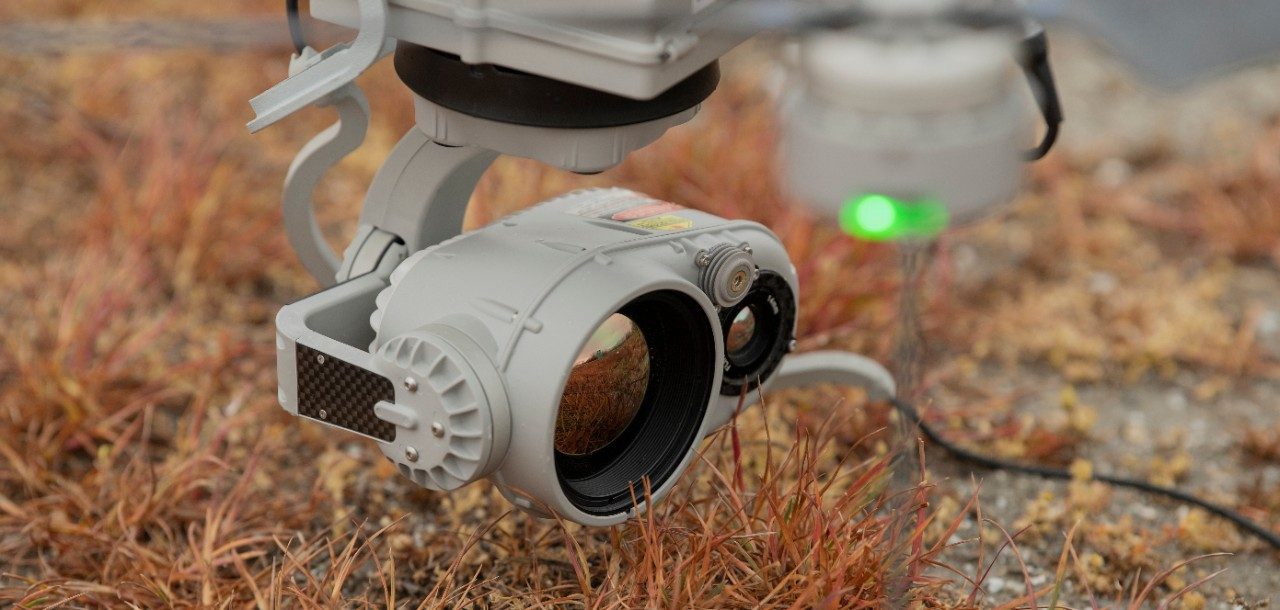 15 Amazing Phantom 3 Gimbal Guard for 2024