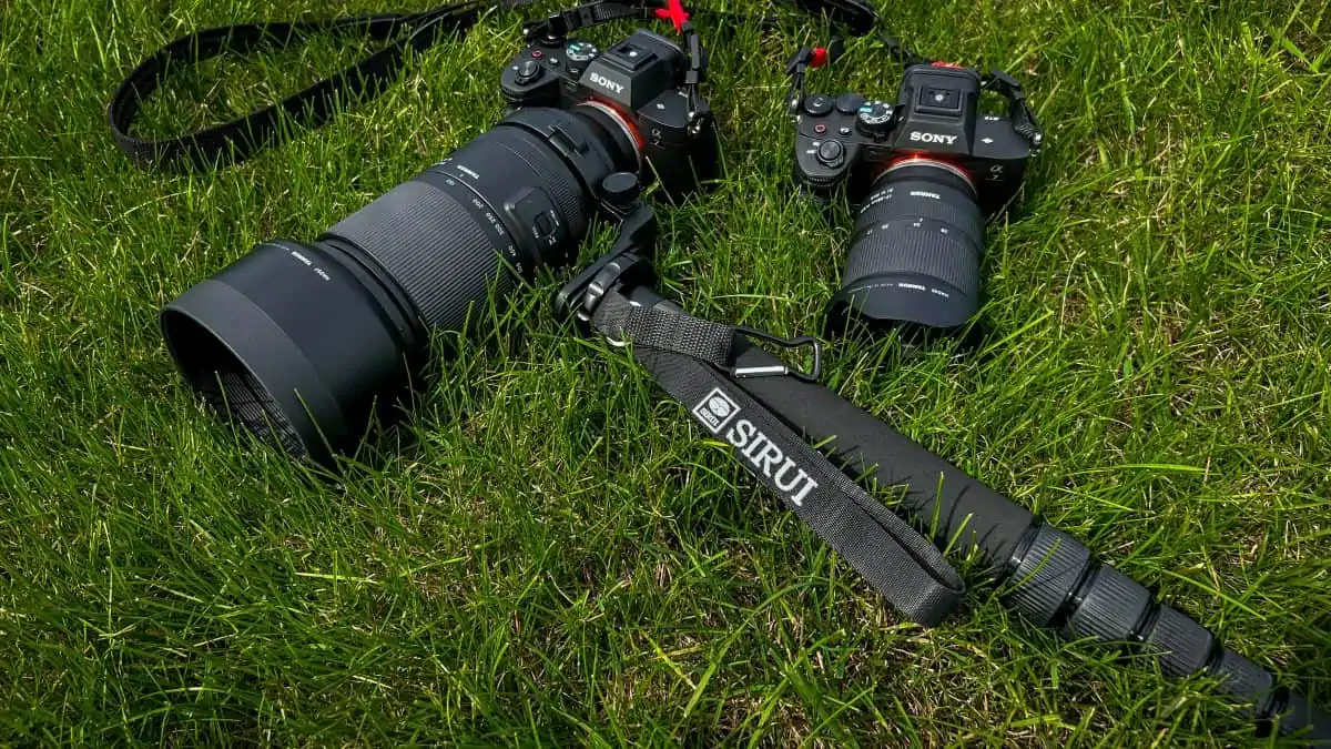 15 Best Heavy Duty Monopod for 2024