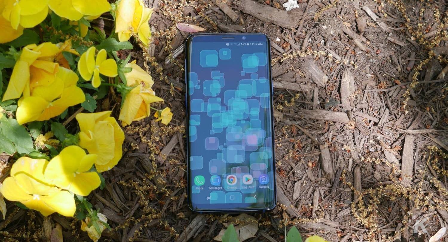 17 Best Samsung S9 Glass Screen Protector for 2024