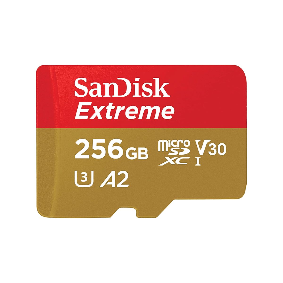 8 Amazing 256GB Phone Memory Cards For 2024