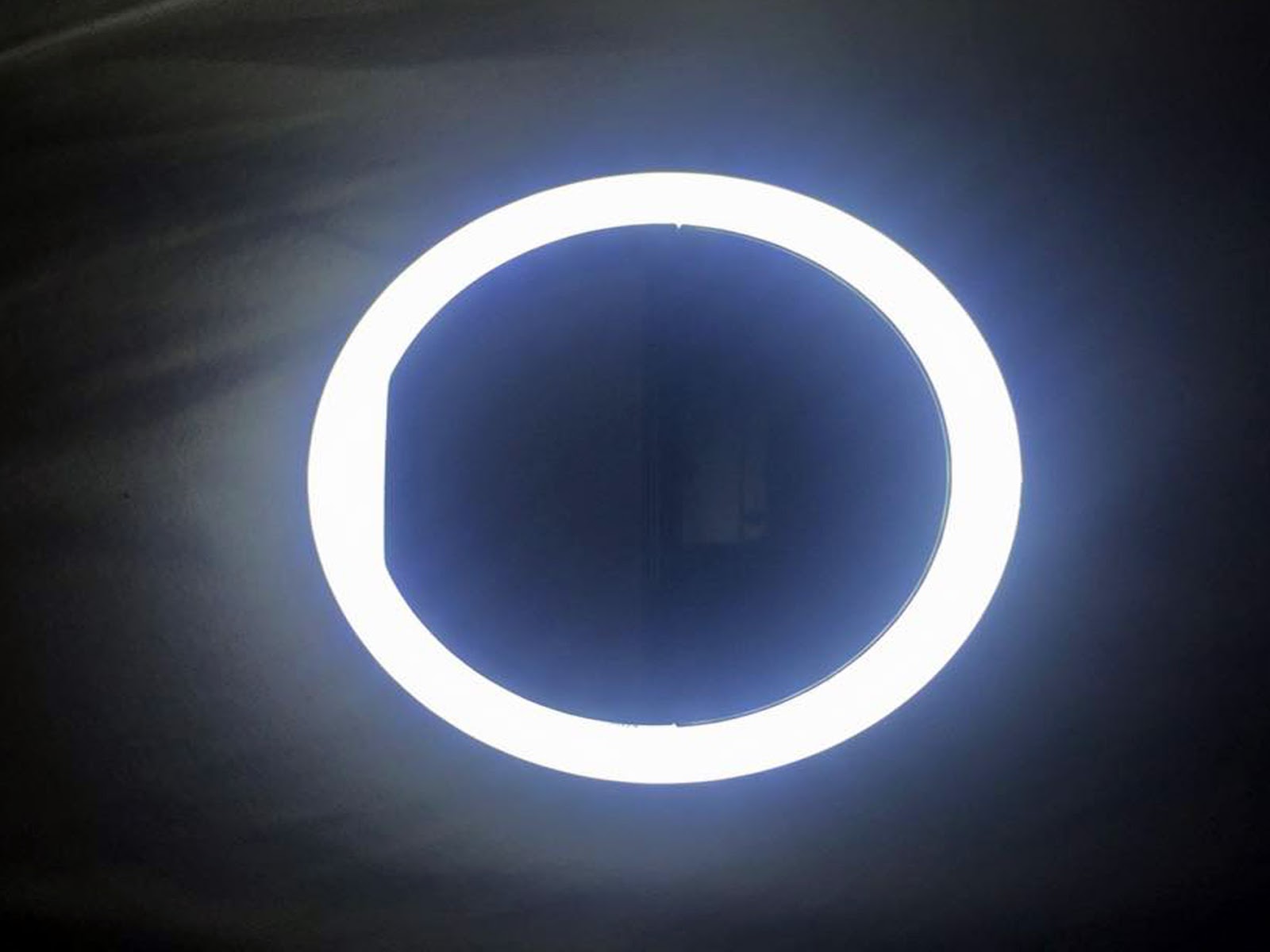 8 Best Ocathnon Selfie Ring Light for 2024