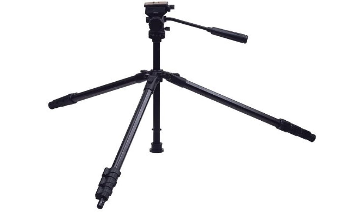8 Best Targus Tripod for 2024