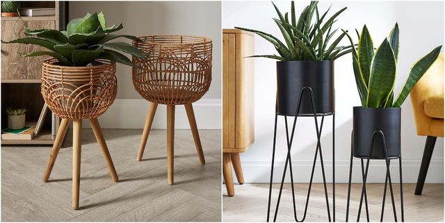 8 Best Tripod Plant Stand for 2024