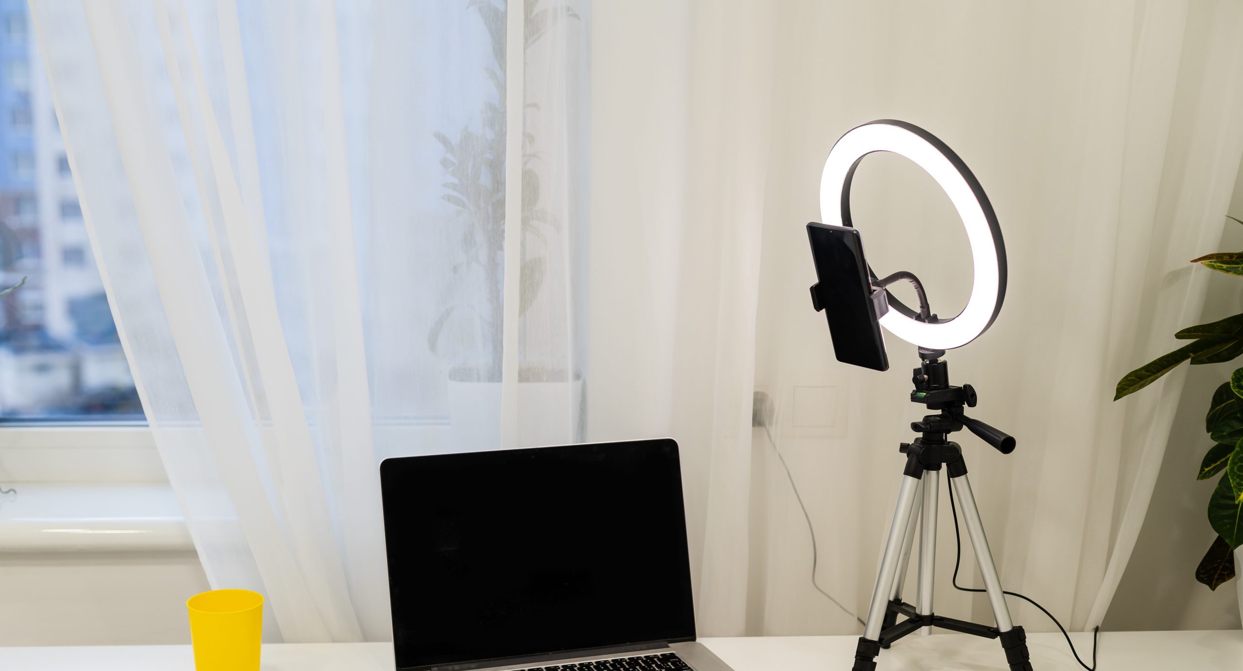9 Amazing Tripod For Ring Light for 2024
