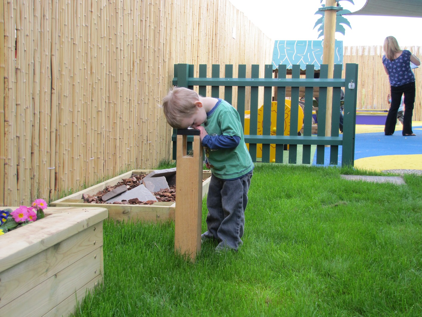 9 Best Bug Magnifier for 2024