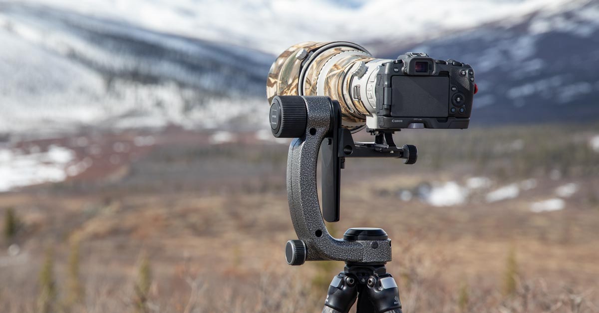 9 Best Gimbal Heads For Cameras for 2024