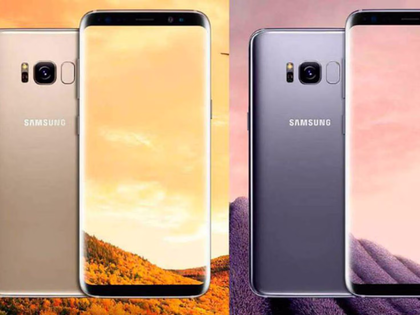 9 Best Screen Protector Galaxy S8 Plus for 2024