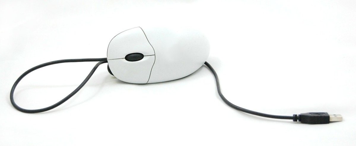 which-connector-on-the-back-of-a-computer-is-used-to-attach-a-mouse-to-a-modern-pc-system