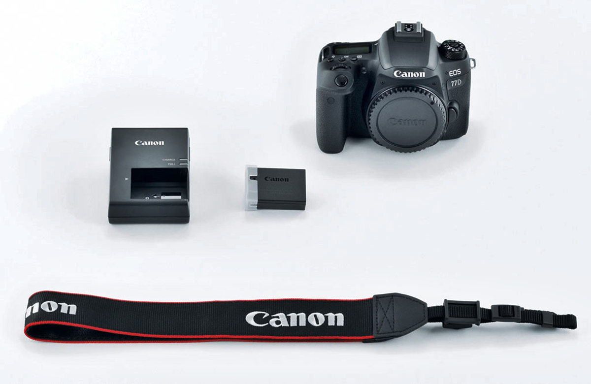 10 Best Canon 77D Battery For 2024
