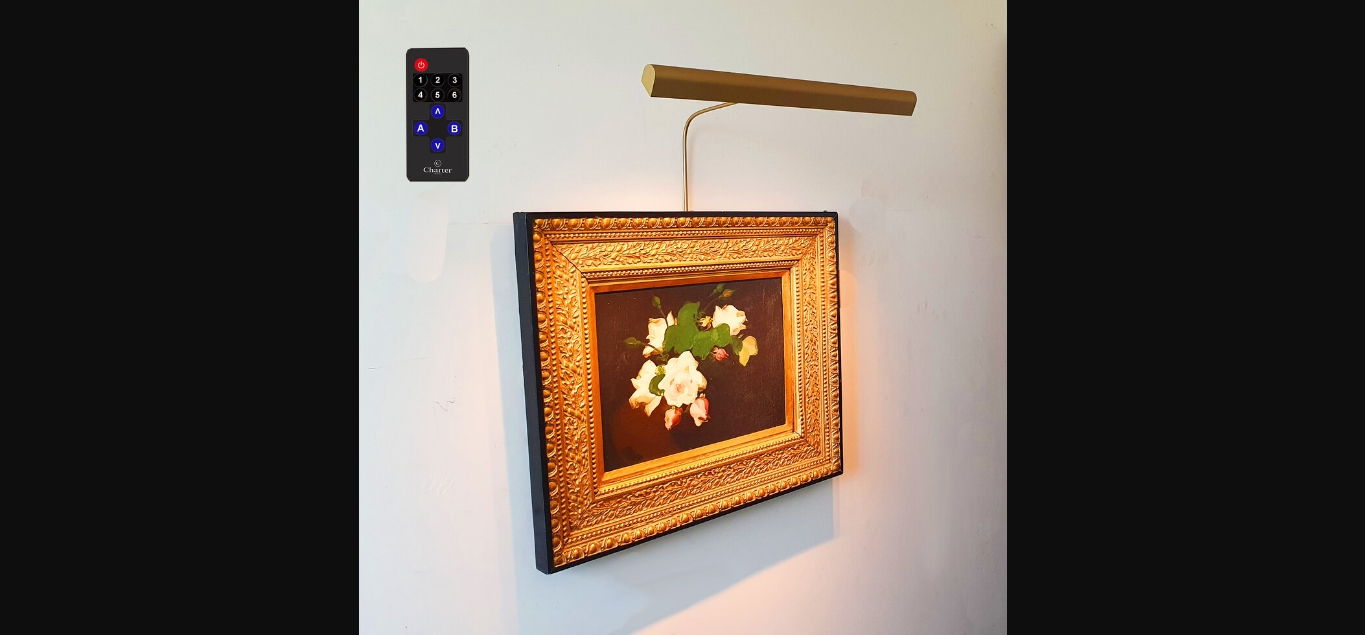 10 Superior Battery Picture Light For 2024