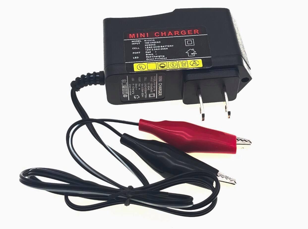 13 Best 12 V Battery Charger For 2024
