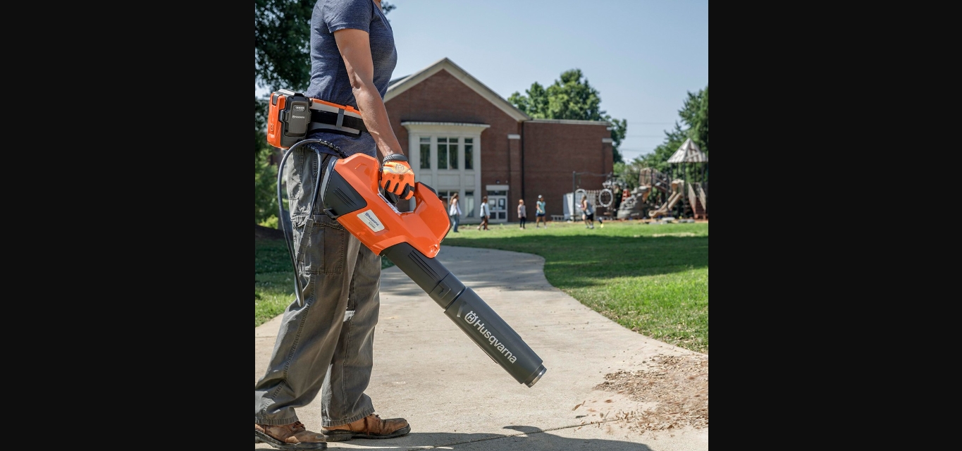 14 Superior Battery Powered Blower For 2024